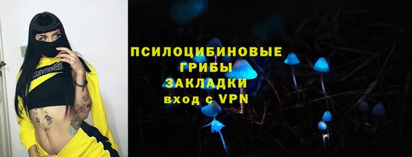 твердый Корсаков
