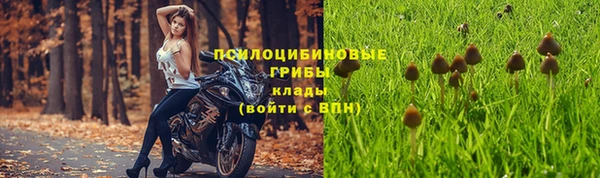 прущая мука Белокуриха